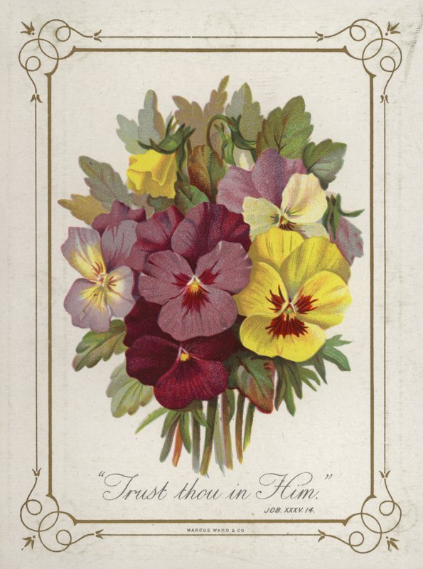 Posy av blommor av English School
