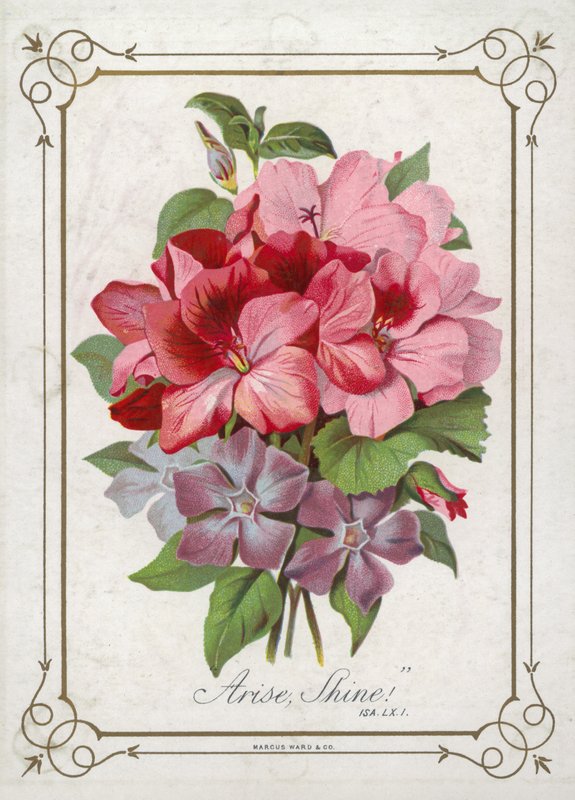 Posy av blommor av English School