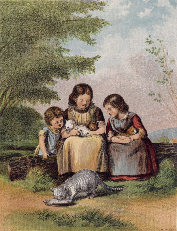 Pet Kattungarna av English School