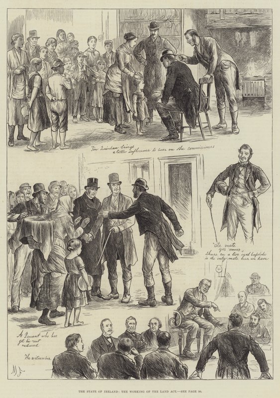 Staten i Irland, Working of the Land Act av English School