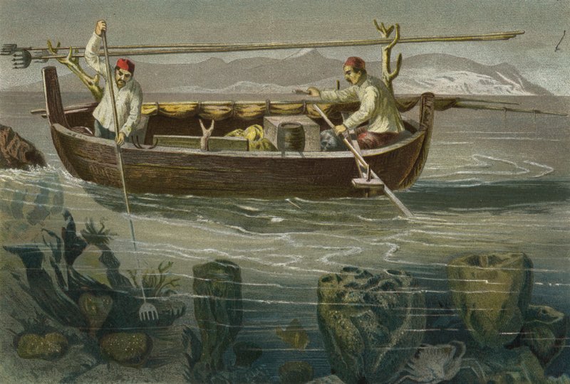Svampfiske På Den Dalmatiska Kusten av European School