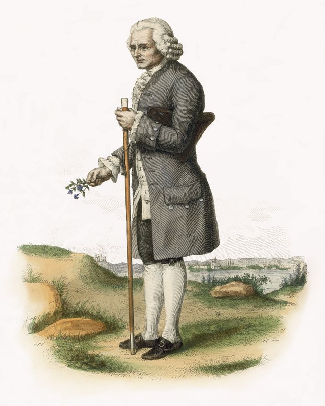 Jean-Jacques Rousseau av French School