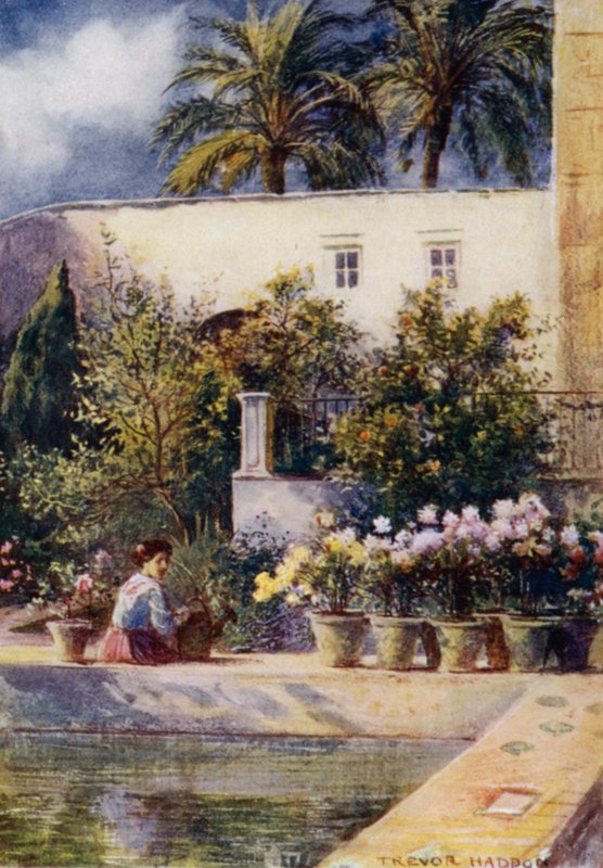 Sevilla, Alcazars trädgårdar (färg litho) av A. Trevor Haddon