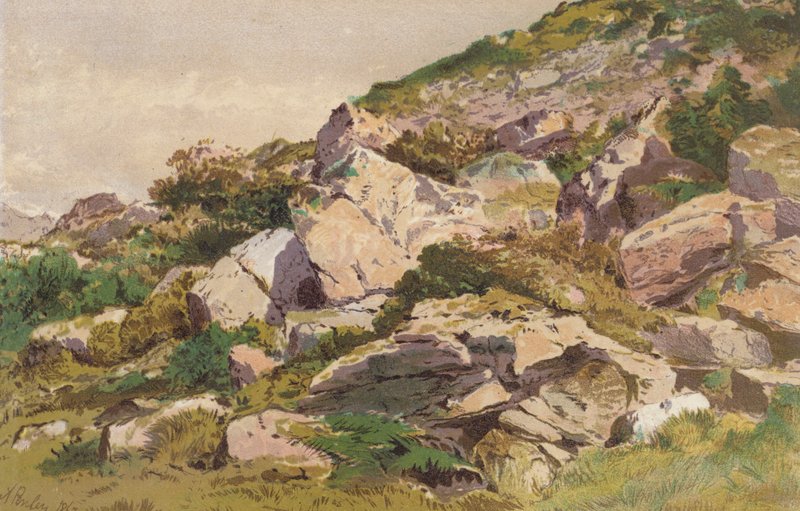Studie av stenar på norra sidan av Taliaris, nära Llandilo, södra Wales (chromolitho) av Aaron Edwin Penley