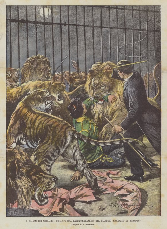 Menageriernas Drama, Under En Föreställning I Budapest Zoo av Achille Beltrame