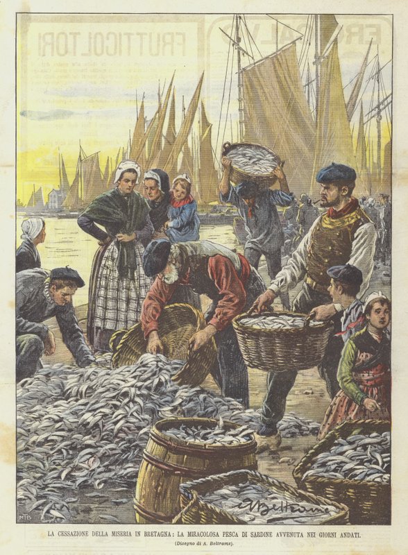 Slutet på eländet i Bretagne, den mirakulösa sardinfångsten i dagar som gått av Achille Beltrame