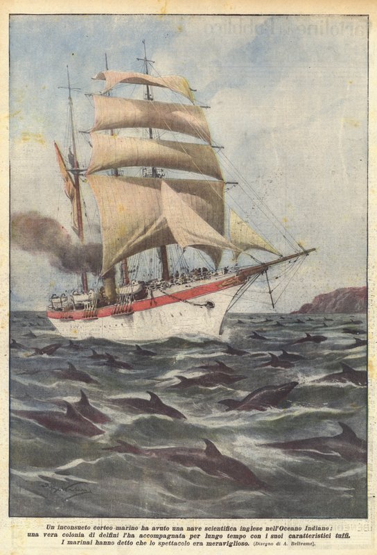 Hade en ovanlig marin procession ett engelskt vetenskapsfartyg i Indiska oceanen? av Achille Beltrame