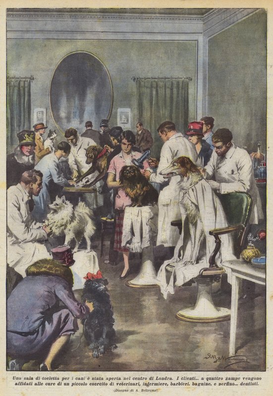 Ett hundtrimmningsrum har öppnat i centrala London av Achille Beltrame