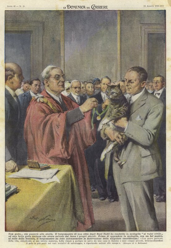 En katt hedrad med en medalj av Achille Beltrame