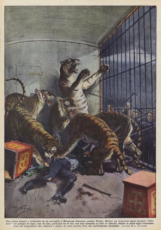 En tragisk scen utspelade sig i ett menageri i Miramont Guyenne, nära Toulouse av Achille Beltrame