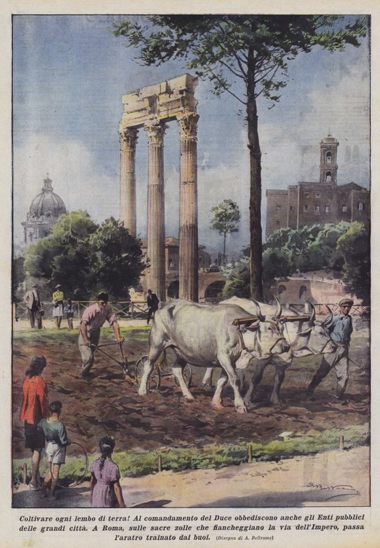 Odla varje landremsa! av Achille Beltrame