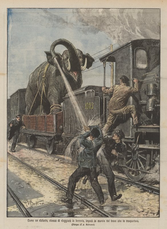Som en elefant, trött på att åka tåg, hindrar du tåget som fraktade den från att röra sig av Achille Beltrame