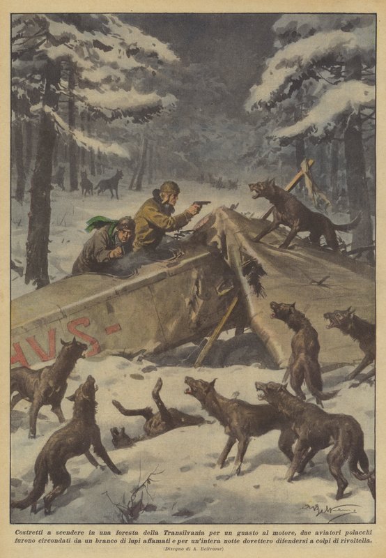 Tvingad att åka ner till en transsylvanisk skog på grund av ett motorfel? av Achille Beltrame