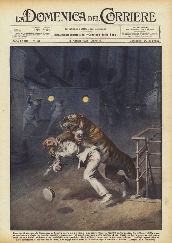 När han reste från Singapore till London med en ångbåt lyckades en tiger fly från buren av Achille Beltrame