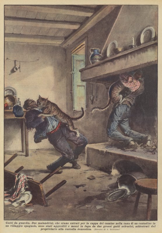 Vakta katter av Achille Beltrame