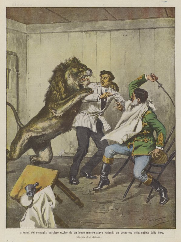 Menageriernas dramer, en frisör dödad av ett lejon medan han rakade en tamare i bestarnas bur av Achille Beltrame