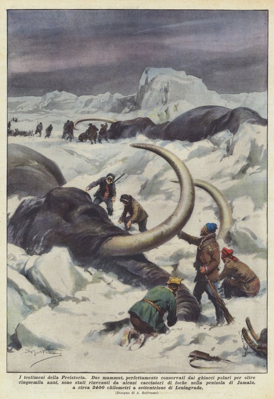 Förhistoriens vittnen av Achille Beltrame