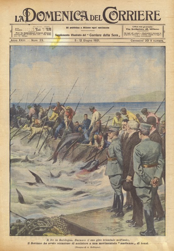 Kungen på Sardinien av Achille Beltrame