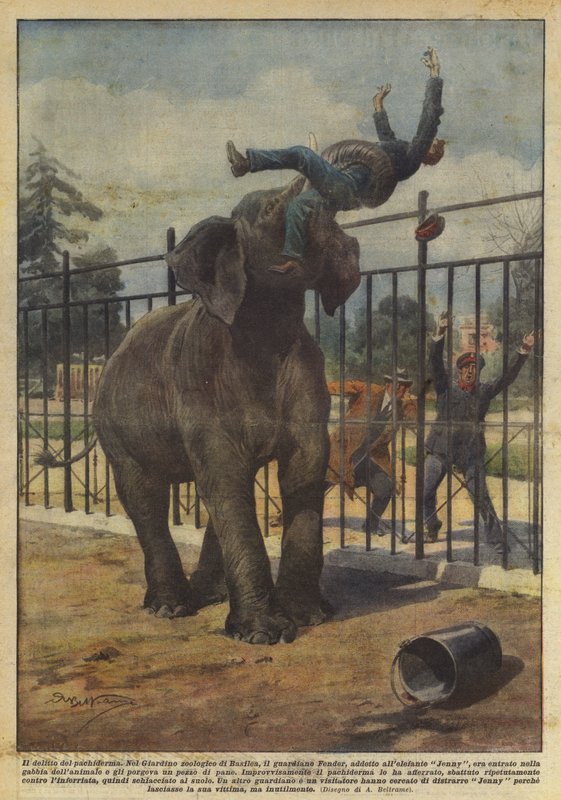 Pachyderms brott av Achille Beltrame
