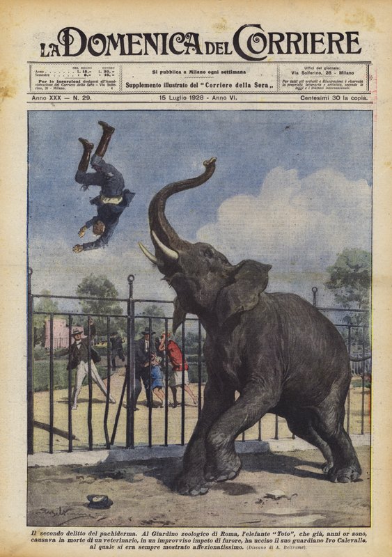 Pachydermens andra brott av Achille Beltrame