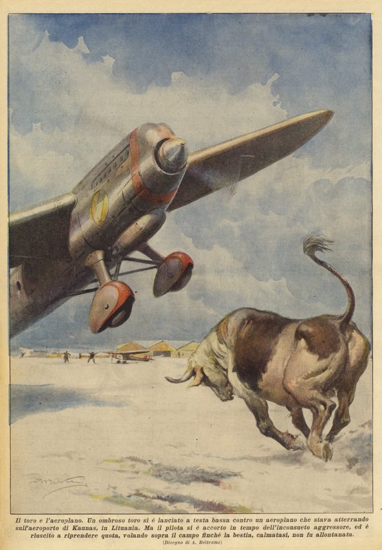 Tjuren och flygplanet av Achille Beltrame