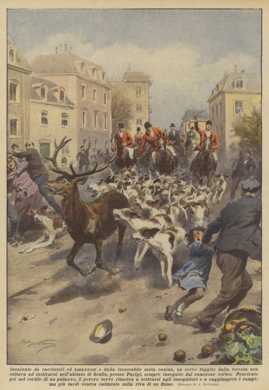 Förföljd av jägare och amazoner och av den obönhörliga hundmyllan, rymde ett rådjur från? av Achille Beltrame