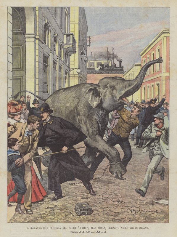 Elefanten som figurerar i Ballo Amor, på La Scala, uppstoppad på gatorna i Milano av Achille Beltrame