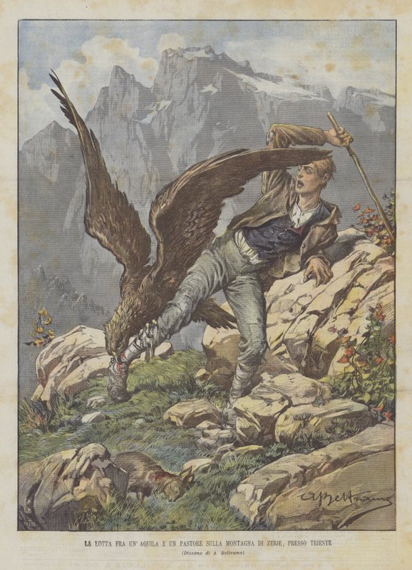 Kampen mellan en örn och en herde på berget Zerie, nära Trieste av Achille Beltrame