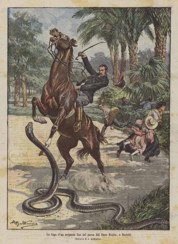 Boa-ormens flykt i parken Buen Retiro, i Madrid av Achille Beltrame
