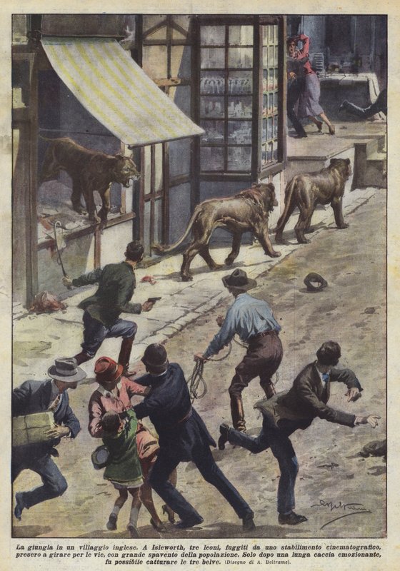 Djungeln i en engelsk by av Achille Beltrame