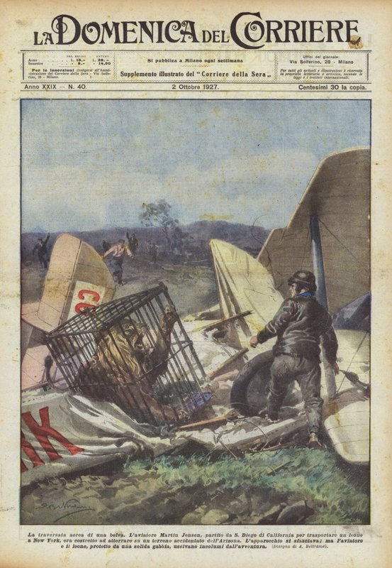 Ett odjurs korsning från luften av Achille Beltrame