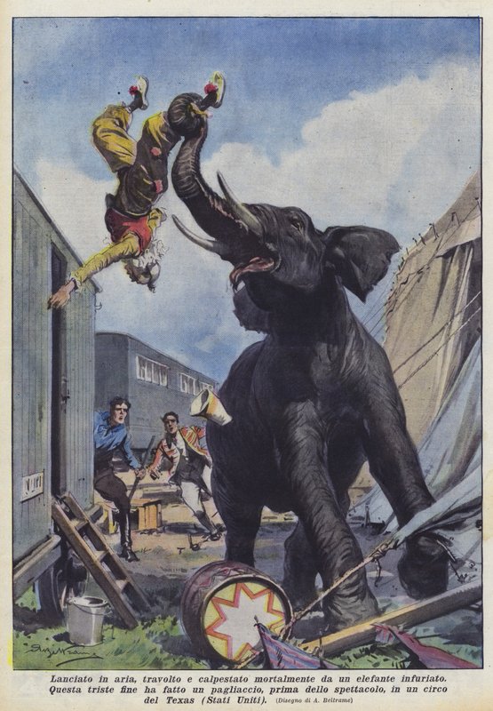 Kastads upp i luften, överkörd och trampad ihjäl av en arg elefant av Achille Beltrame