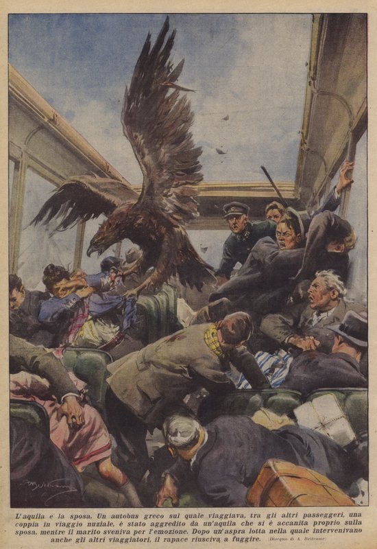Laquila och bruden av Achille Beltrame