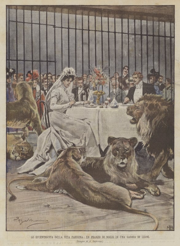 Excentriciteterna i det parisiska livet, en bröllopsmiddag i en lejonbur av Achille Beltrame