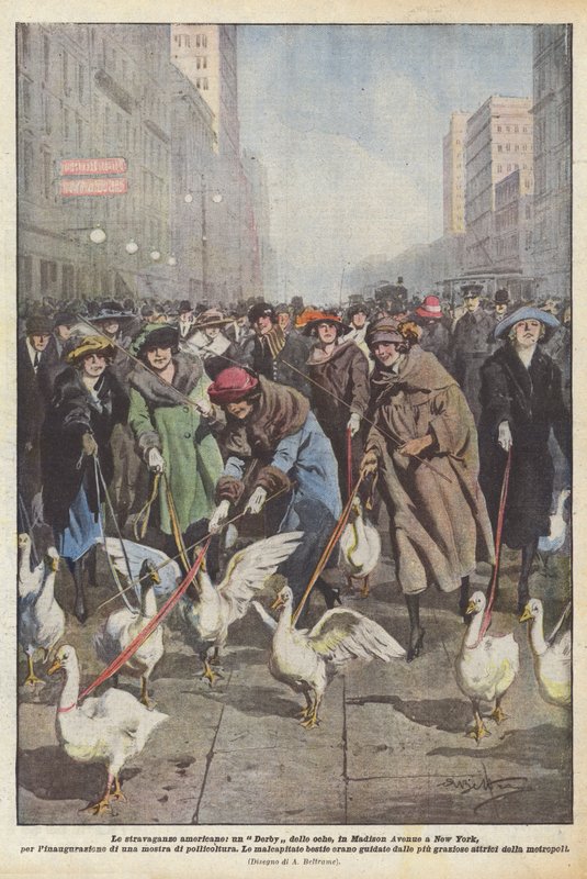 Amerikanska utsvävningar, ett Gäss Derby, på Madison Avenue i New York, för invigningen? av Achille Beltrame