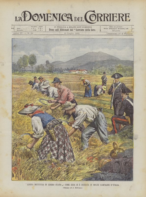 Fri skörd i Free State, hur det började i många italienska kampanjer av Achille Beltrame
