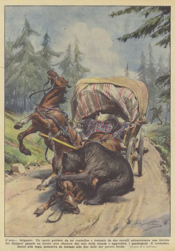 Björnen? brigand av Achille Beltrame