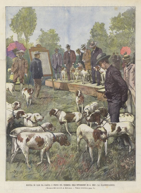 Utställning av jakthundar och markförsök i Siro Hippodrome, klassificeringen av Achille Beltrame
