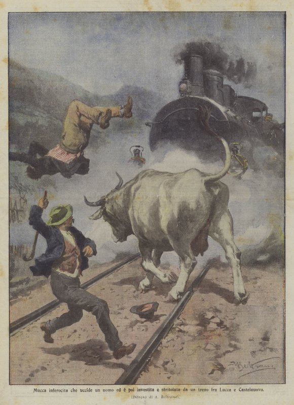 En arg ko som dödar en man och sedan träffas och krossas av ett tåg mellan Lucca och Castelnuovo av Achille Beltrame