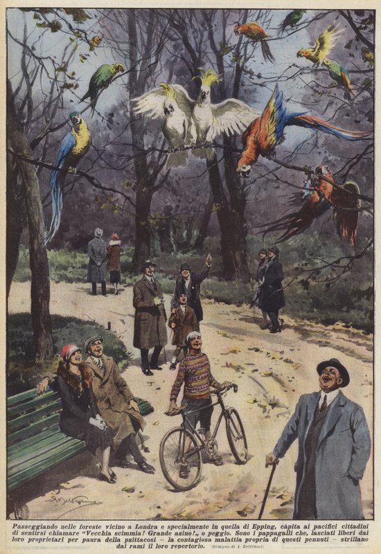 Att promenera i skogarna nära London och speciellt i Epping, händer det de fridfulla? av Achille Beltrame