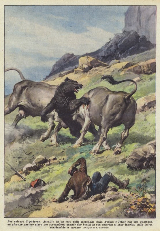 För att rädda mästaren av Achille Beltrame