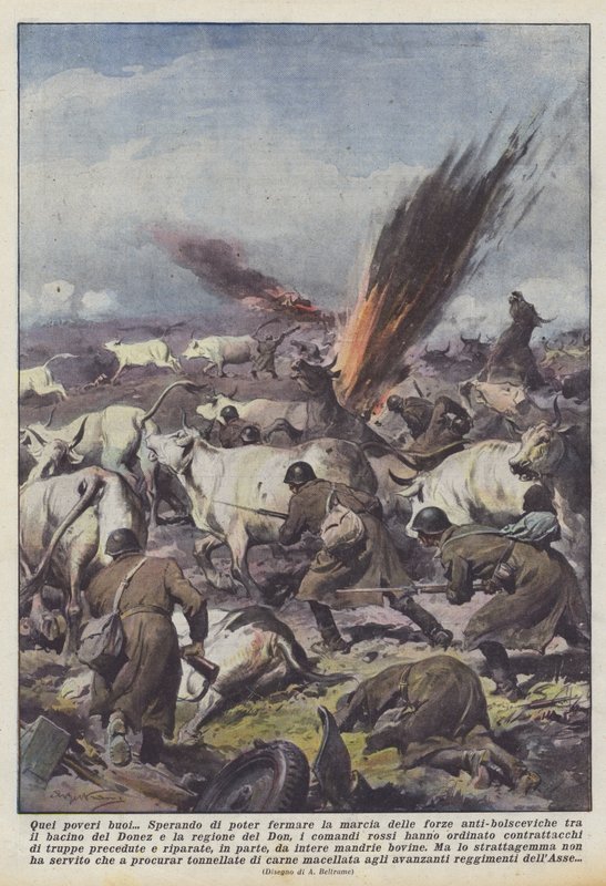 De stackars oxarna av Achille Beltrame