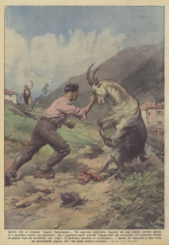 Det som kallas en blixtstöt av Achille Beltrame
