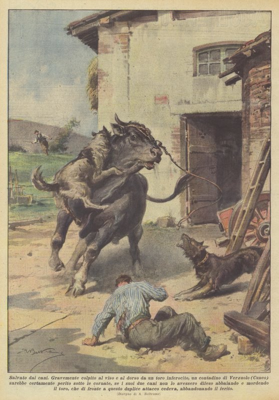 Räddas av hundarna av Achille Beltrame