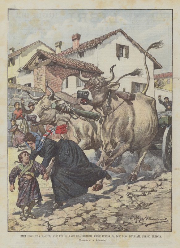 Ödmjuka hjältar, en lärare som ska rädda en liten flicka dödas av två arga oxar, nära Brescia av Achille Beltrame