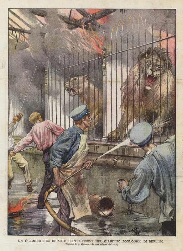 A Fire in the Wild Beasts Allotment in the Berlin Zoological Garden (color litho) av Achille Beltrame