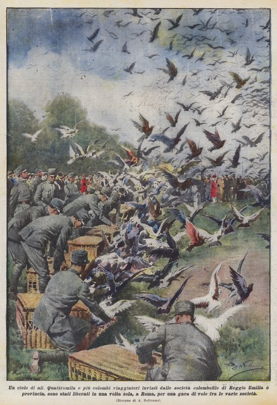 En himmel av vingar av Achille Beltrame