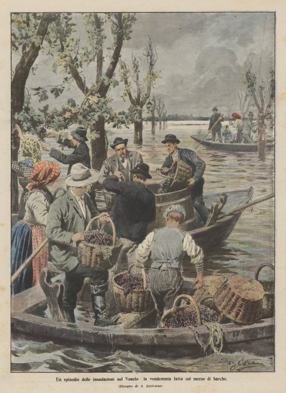 En episod av översvämningarna i Veneto, skörden gjord med båt av Achille Beltrame