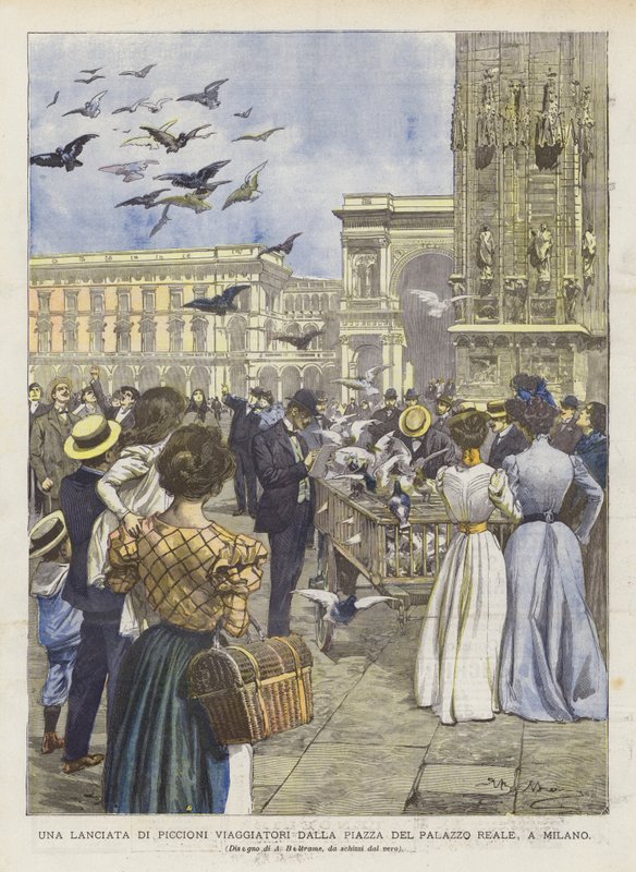En lansering av passagerarduvor från Royal Palace Square i Milano av Achille Beltrame