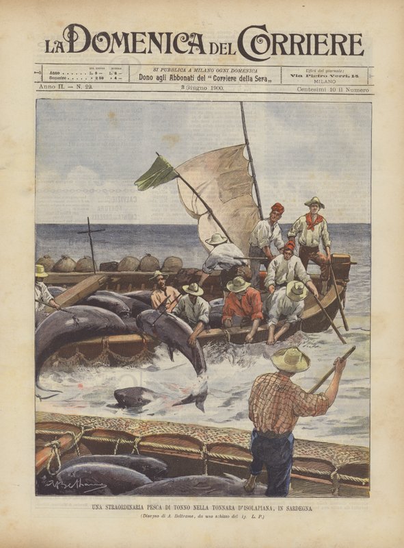 Ett extraordinärt tonfiskfiske i Tonnara DIsolapiana, på Sardinien av Achille Beltrame